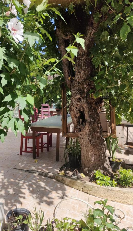Les P'Tits Velos Bed & Breakfast Chandolas Ngoại thất bức ảnh