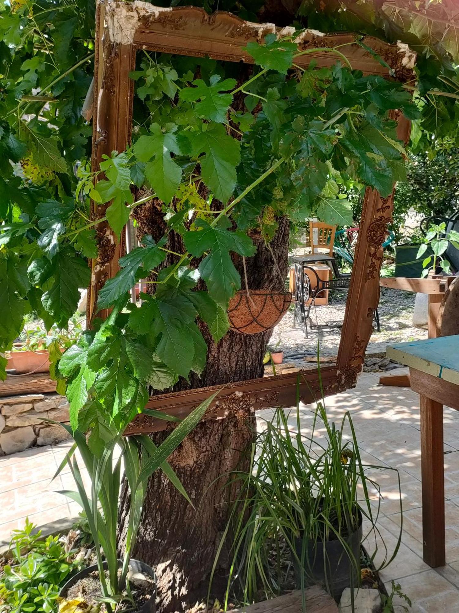 Les P'Tits Velos Bed & Breakfast Chandolas Ngoại thất bức ảnh